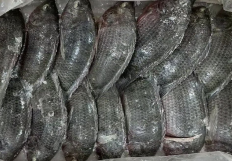 1770814451103038.png 6075c40747207abe98fbaf3d1922e794.png